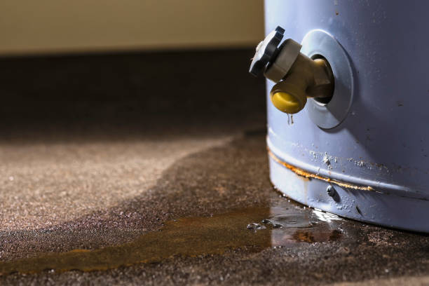 Best Water damage contractors near me  in Anahola, HI