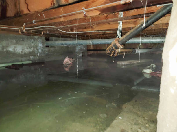Best Fire Damage Restoration  in Anahola, HI