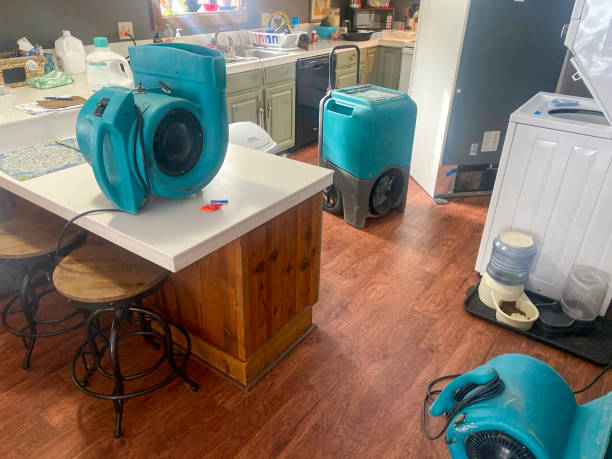 Best Flood restoration services  in Anahola, HI