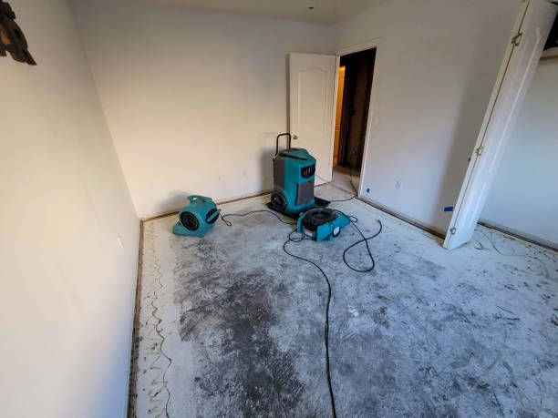 Best Carpet water damage restoration  in Anahola, HI