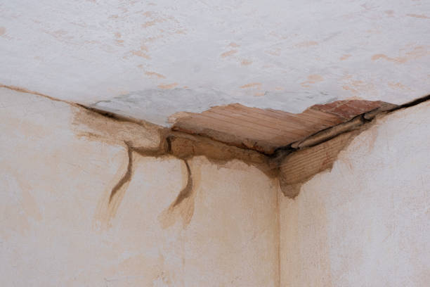 Best Water damage cleanup near me  in Anahola, HI