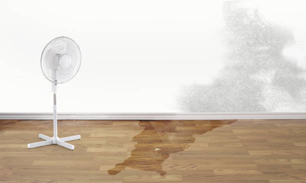 Best Commercial water damage restoration  in Anahola, HI