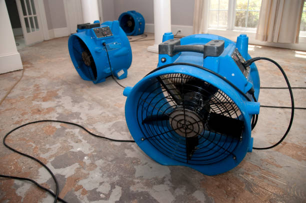 Best Mold removal after water damage  in Anahola, HI
