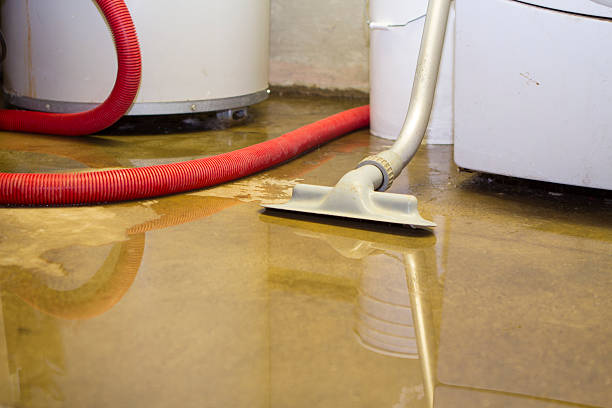 Best Fire Damage Restoration  in Anahola, HI