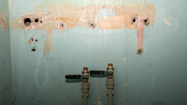 Best 24/7 water damage repair  in Anahola, HI