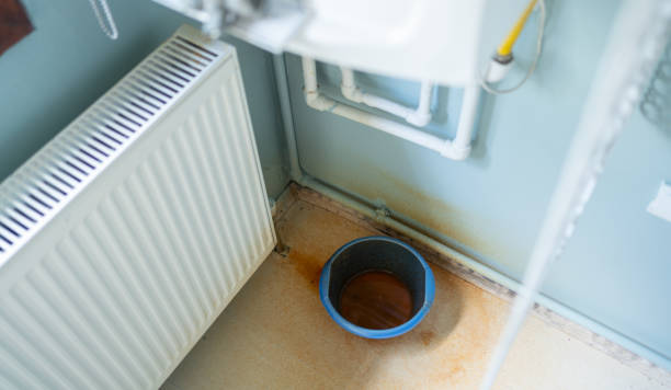 Best Flooded house restoration  in Anahola, HI