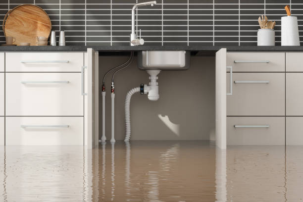  Anahola, HI Water damage restoration Pros