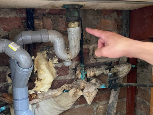 Best Water damage restoration process  in Anahola, HI