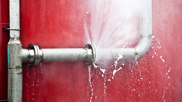 Carpet water damage restoration in HI