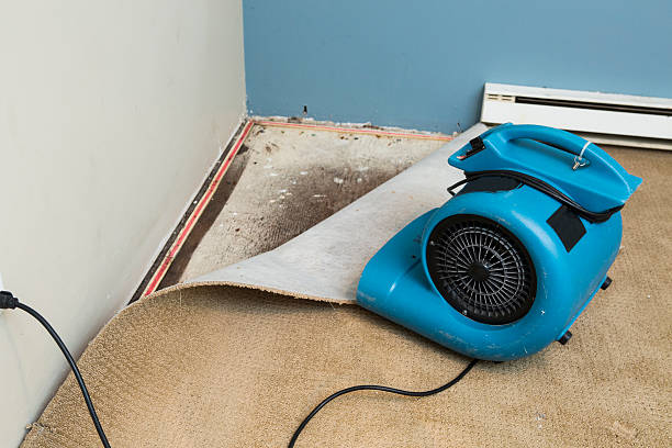 Best Basement water damage restoration  in Anahola, HI